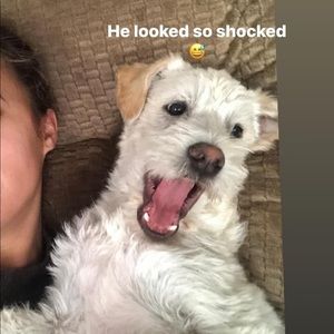 Meet your Posher, Sydney